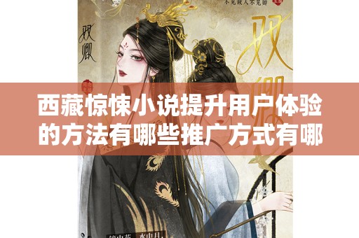 西藏惊悚小说提升用户体验的方法有哪些推广方式有哪些