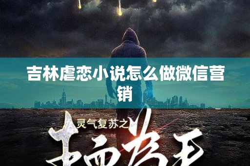 吉林虐恋小说怎么做微信营销