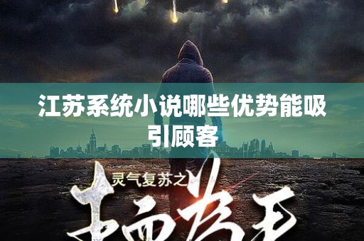 江苏系统小说哪些优势能吸引顾客