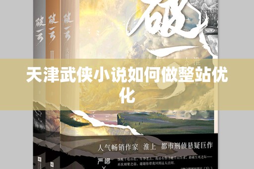 天津武侠小说如何做整站优化