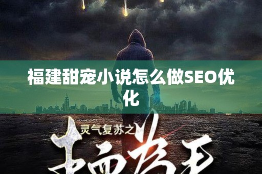 福建甜宠小说怎么做SEO优化