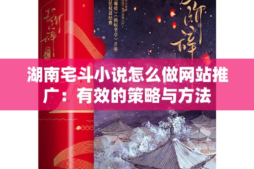 湖南宅斗小说怎么做网站推广：有效的策略与方法