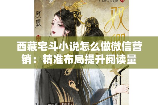 西藏宅斗小说怎么做微信营销：精准布局提升阅读量