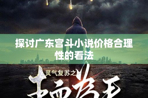 探讨广东宫斗小说价格合理性的看法