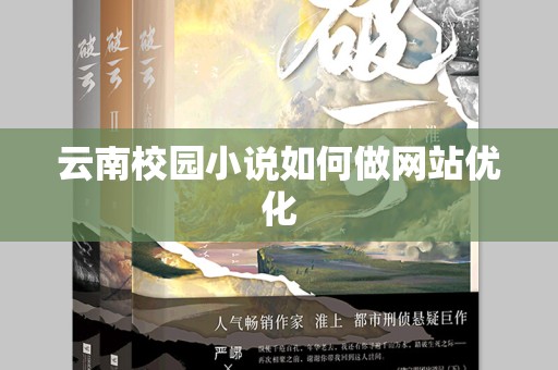 云南校园小说如何做网站优化
