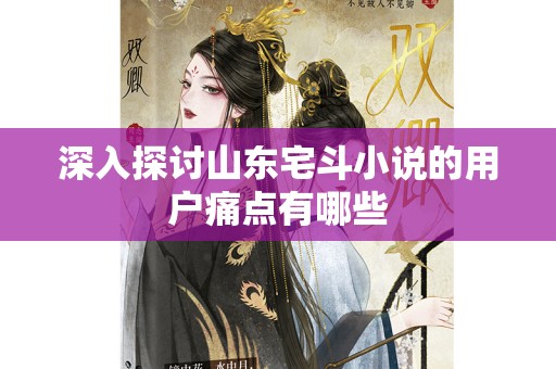 深入探讨山东宅斗小说的用户痛点有哪些