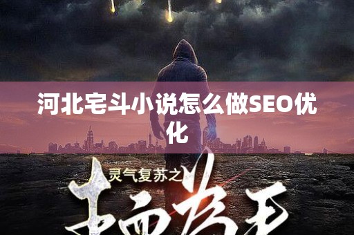 河北宅斗小说怎么做SEO优化
