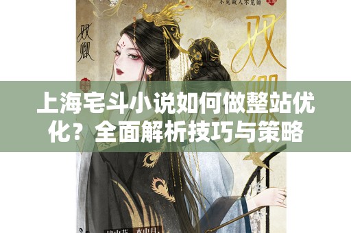 上海宅斗小说如何做整站优化？全面解析技巧与策略