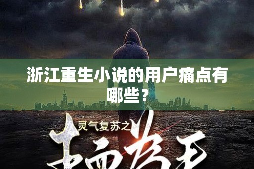 浙江重生小说的用户痛点有哪些？