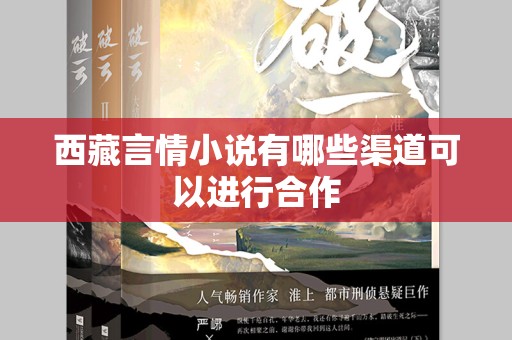 西藏言情小说有哪些渠道可以进行合作