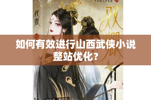 如何有效进行山西武侠小说整站优化？