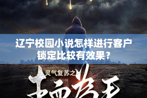 辽宁校园小说怎样进行客户锁定比较有效果？