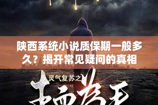 陕西系统小说质保期一般多久？揭开常见疑问的真相
