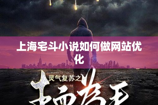 上海宅斗小说如何做网站优化