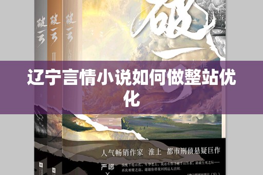 辽宁言情小说如何做整站优化
