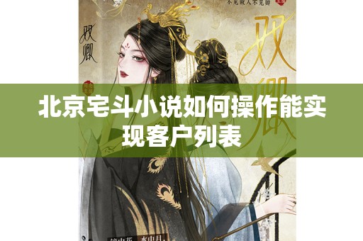北京宅斗小说如何操作能实现客户列表