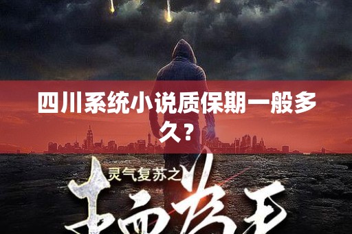 四川系统小说质保期一般多久？