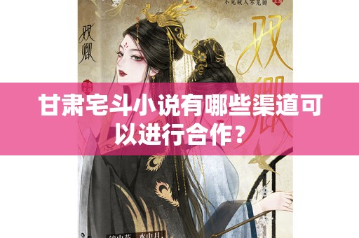 甘肃宅斗小说有哪些渠道可以进行合作？