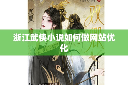 浙江武侠小说如何做网站优化