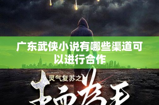 广东武侠小说有哪些渠道可以进行合作