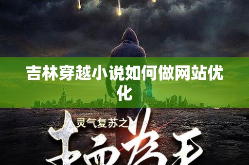 吉林穿越小说如何做网站优化