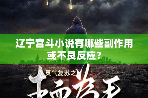 辽宁宫斗小说有哪些副作用或不良反应？