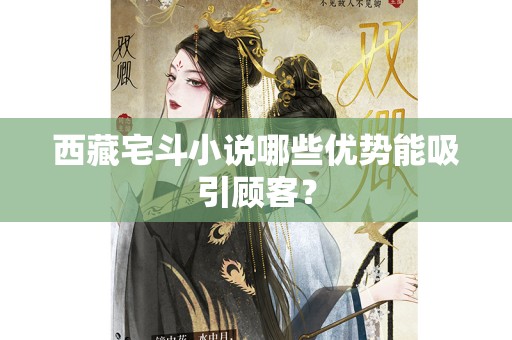 西藏宅斗小说哪些优势能吸引顾客？
