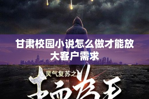 甘肃校园小说怎么做才能放大客户需求