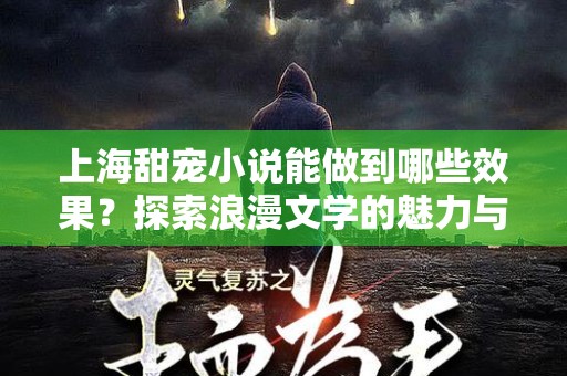 上海甜宠小说能做到哪些效果？探索浪漫文学的魅力与影响力