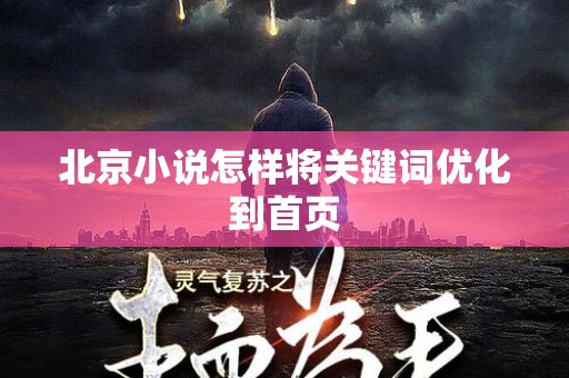 北京小说怎样将关键词优化到首页