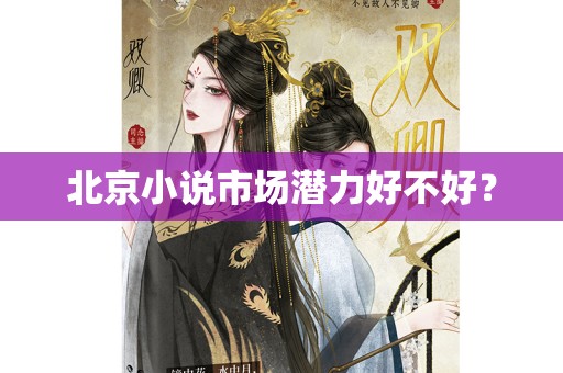 北京小说市场潜力好不好？