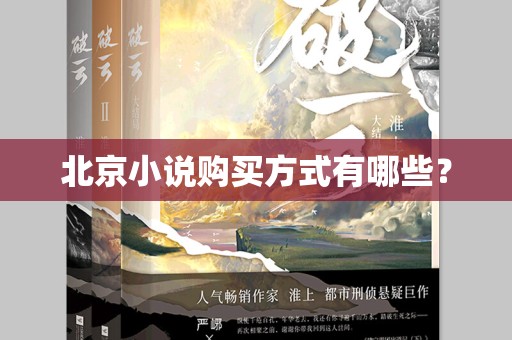 北京小说购买方式有哪些？