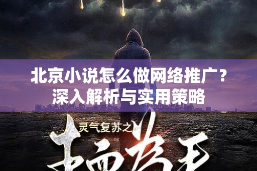 北京小说怎么做网络推广？深入解析与实用策略