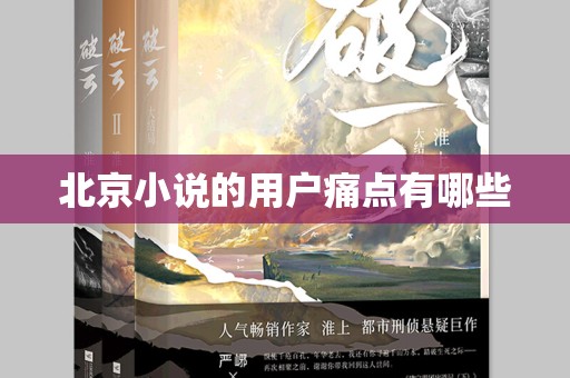 北京小说的用户痛点有哪些