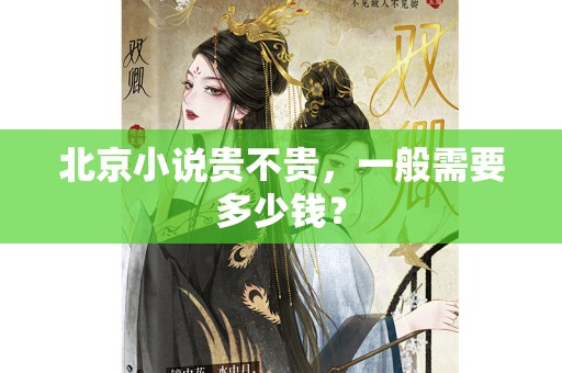 北京小说贵不贵，一般需要多少钱？