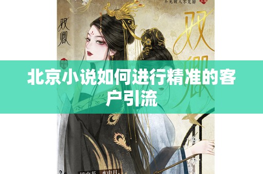 北京小说如何进行精准的客户引流
