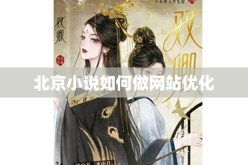 北京小说如何做网站优化