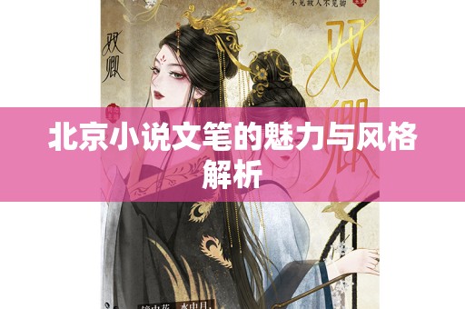 北京小说文笔的魅力与风格解析