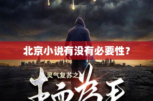 北京小说有没有必要性？