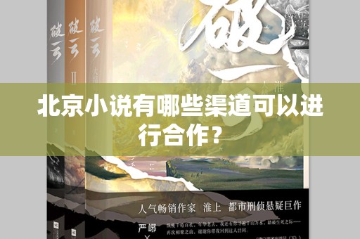 北京小说有哪些渠道可以进行合作？