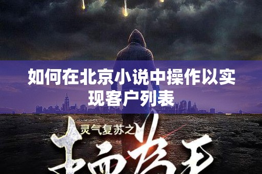 如何在北京小说中操作以实现客户列表