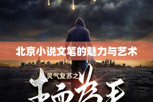 北京小说文笔的魅力与艺术