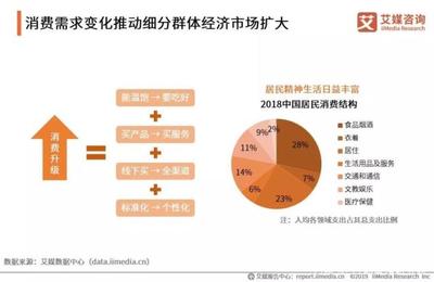 数据报告|2019中国互联网群体经济用户与消费行为研究