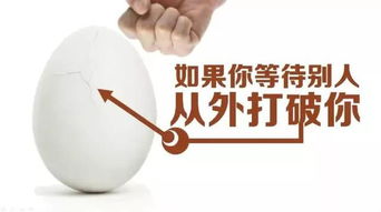 一颗不平凡的鸡蛋 如何以微不足道之姿，撬动数亿人的生活杠杆？